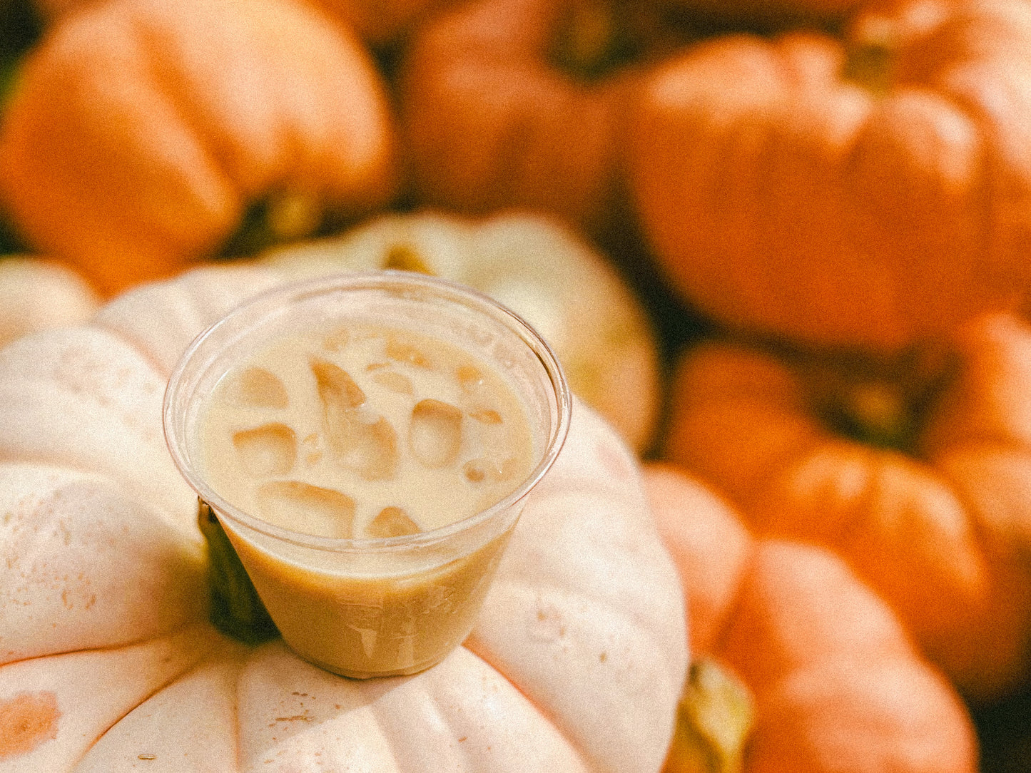 Spooky Szn Pu’er