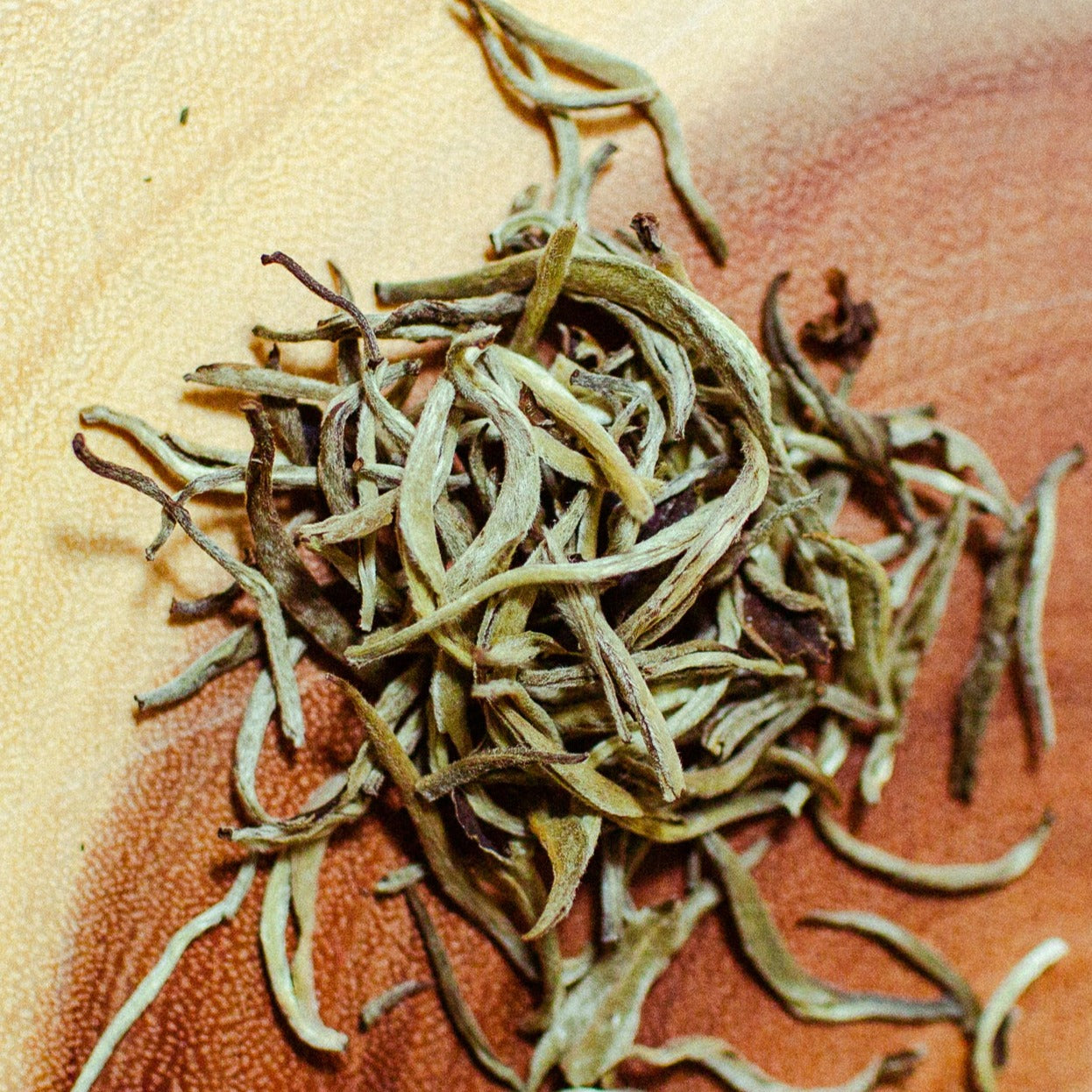 Silver Needle