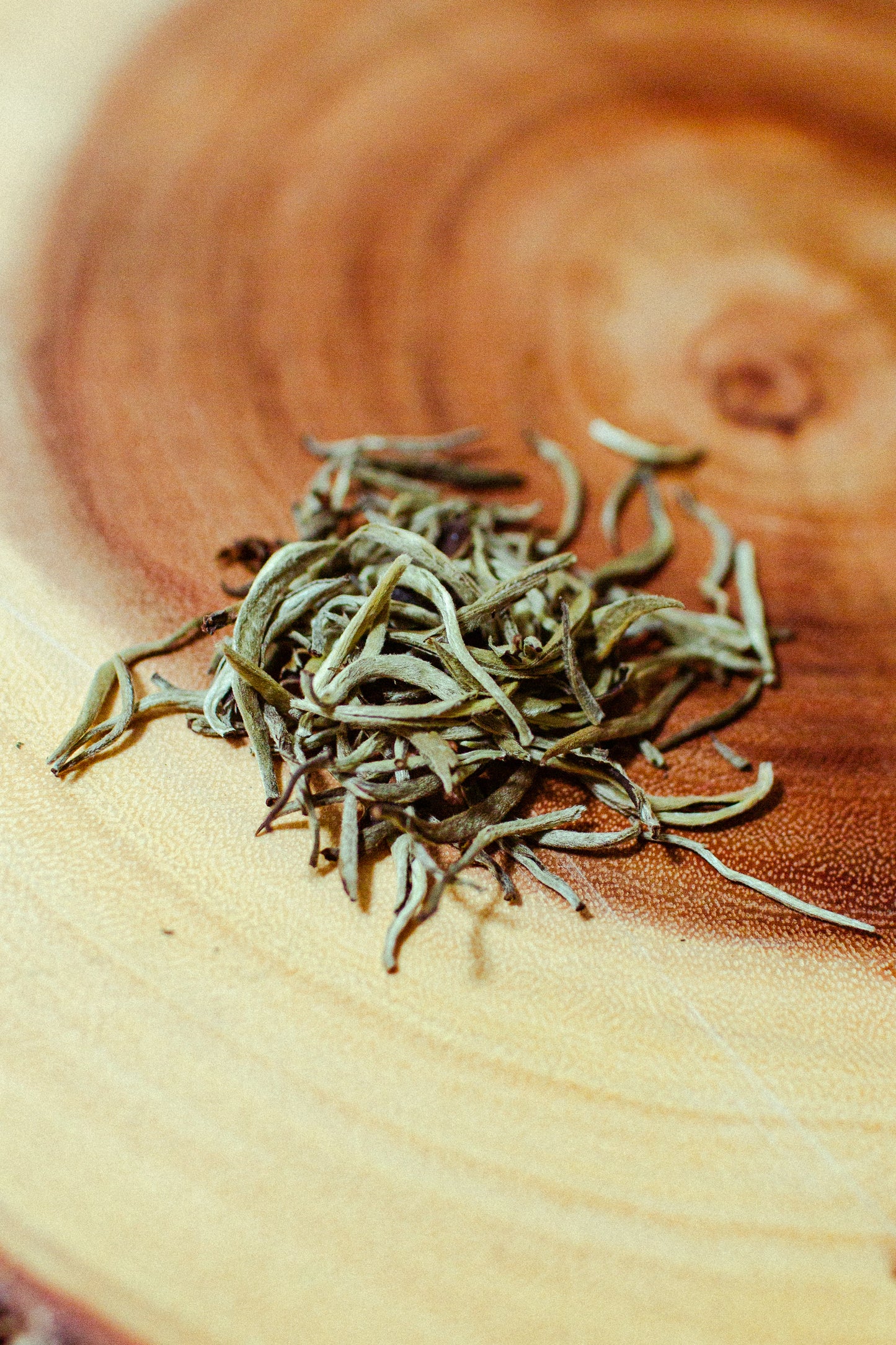 Silver Needle