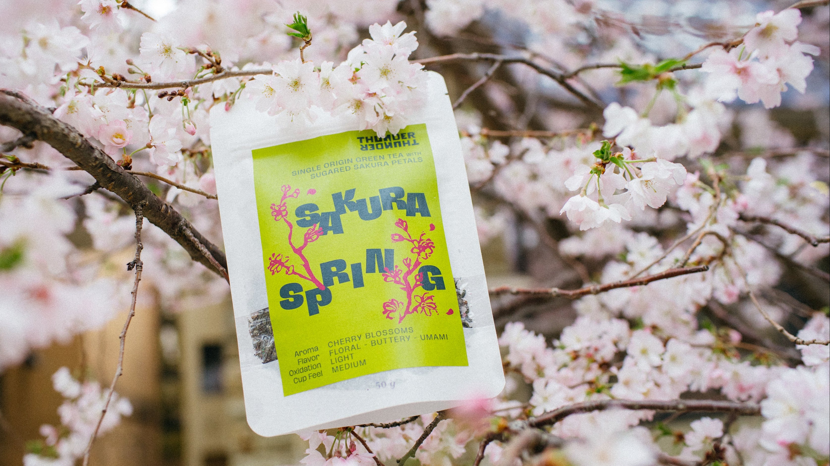 Product packaging with 'Sakura Spring' text among cherry blossoms